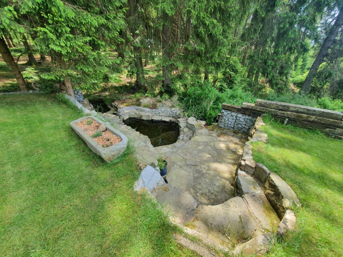 Apartmány LIPNOczech Frymburk Exterior foto