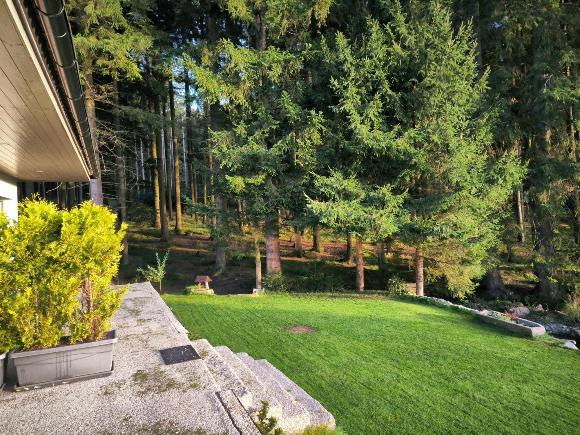 Apartmány LIPNOczech Frymburk Exterior foto