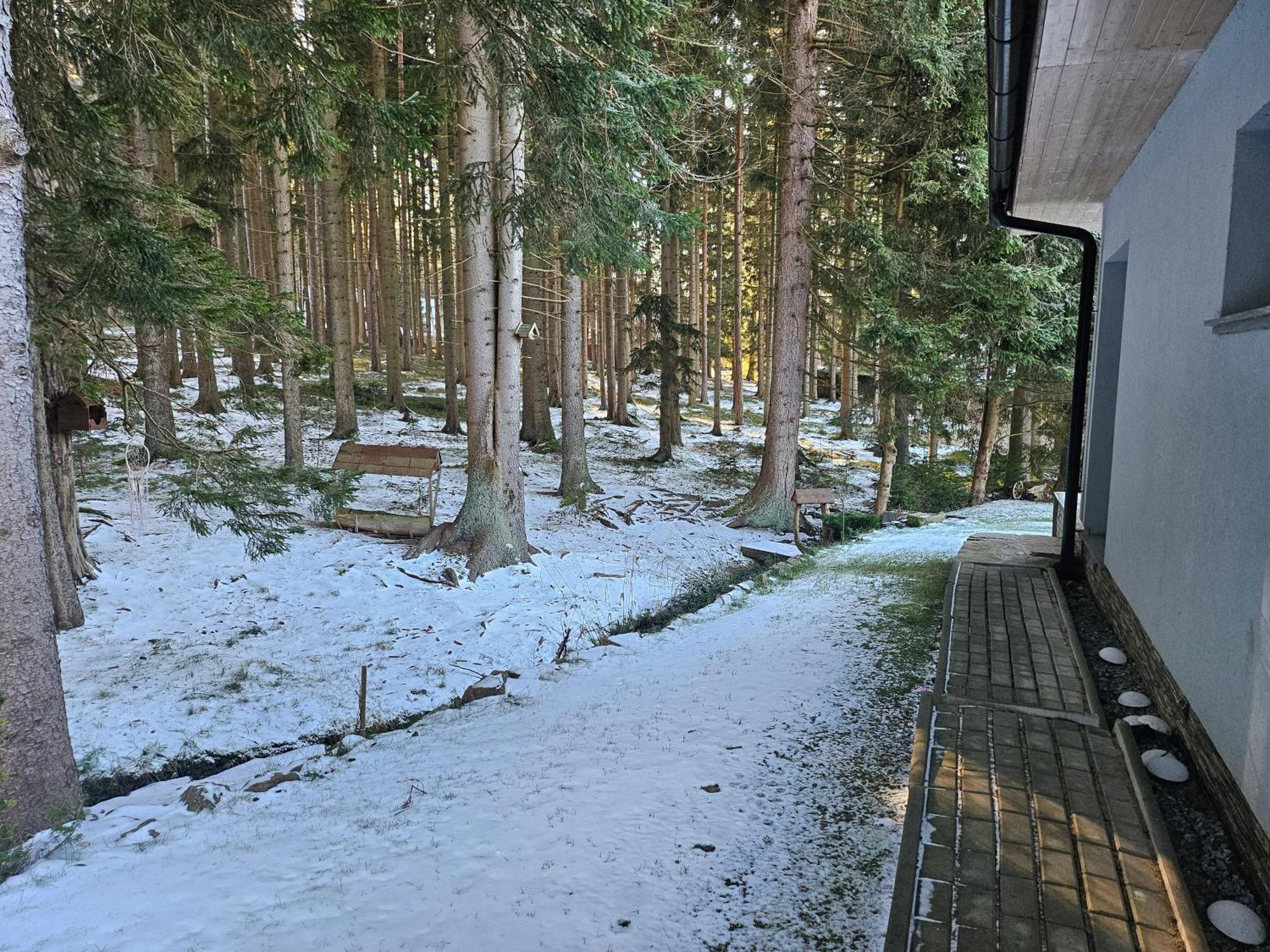 Apartmány LIPNOczech Frymburk Exterior foto