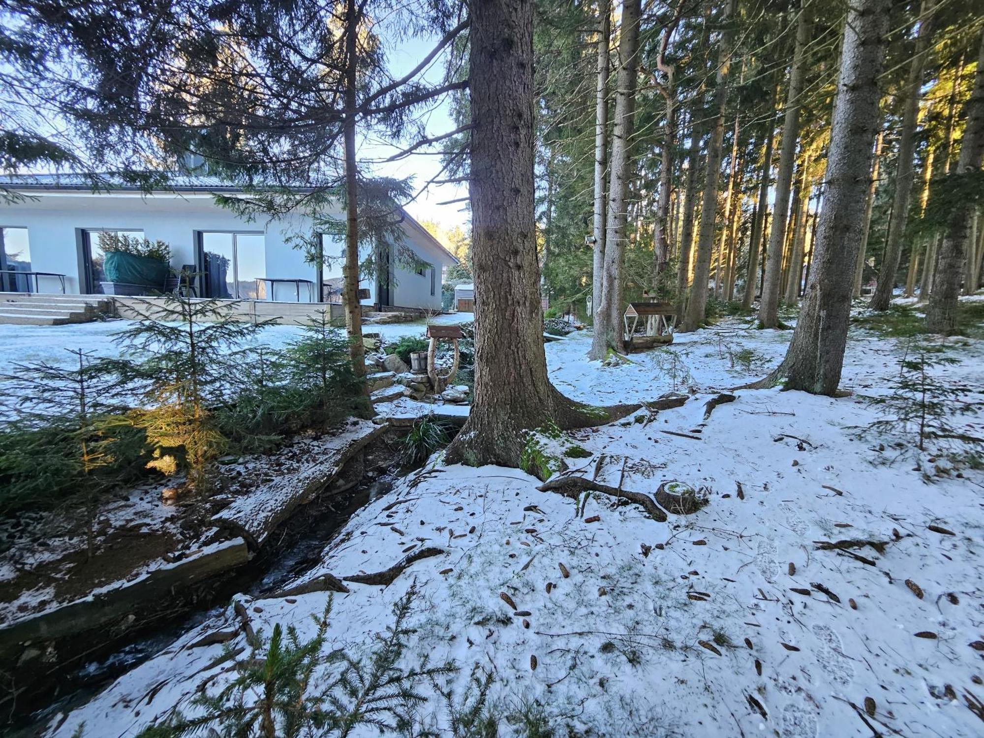 Apartmány LIPNOczech Frymburk Exterior foto