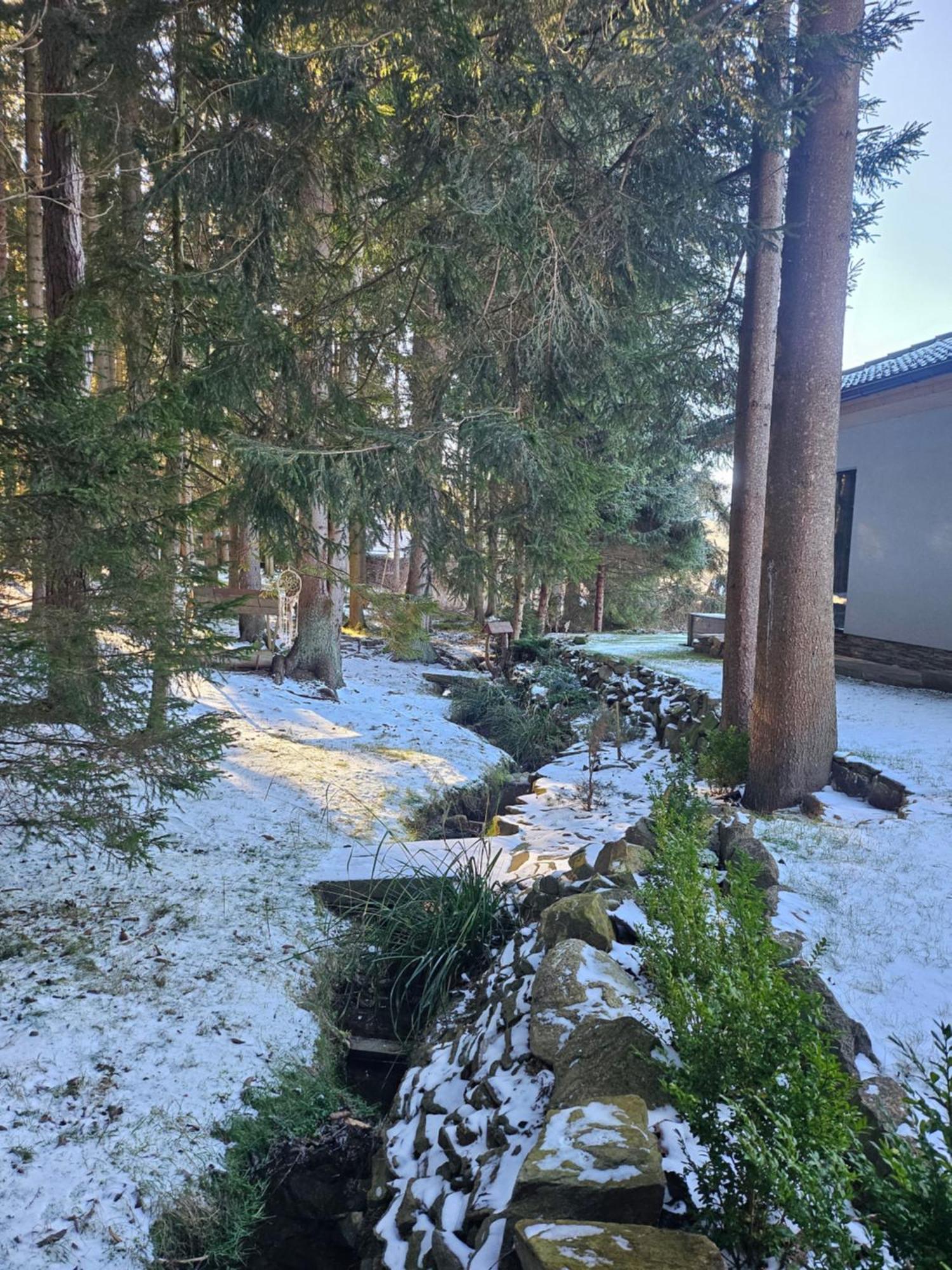 Apartmány LIPNOczech Frymburk Exterior foto